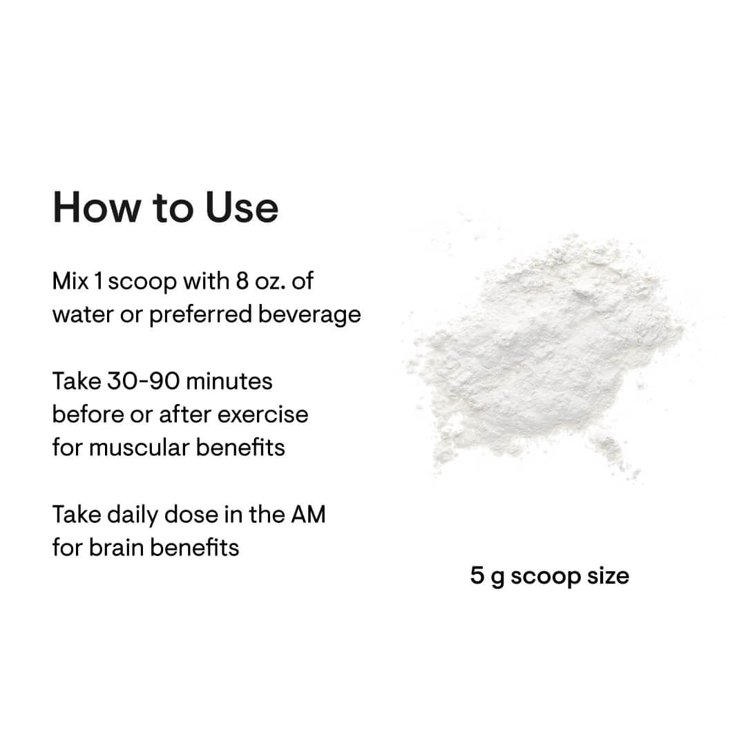 Thorne Creatine for Lean Muscle Mass, Endurance, Cellular Energy & Brain Function - 90 Servings